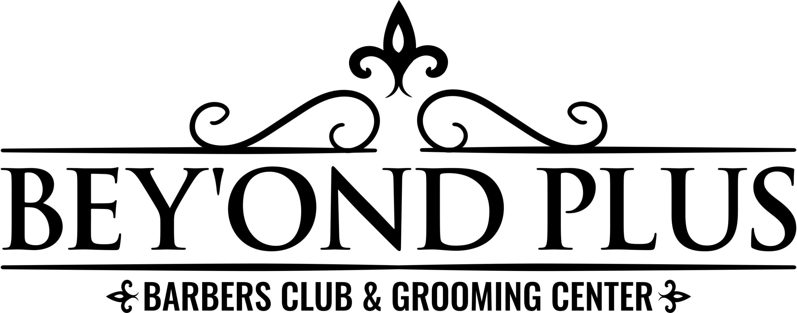 beyondplus-En-1